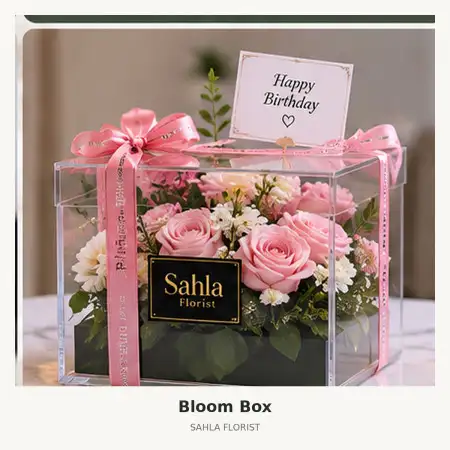 Bloom Box Nabire